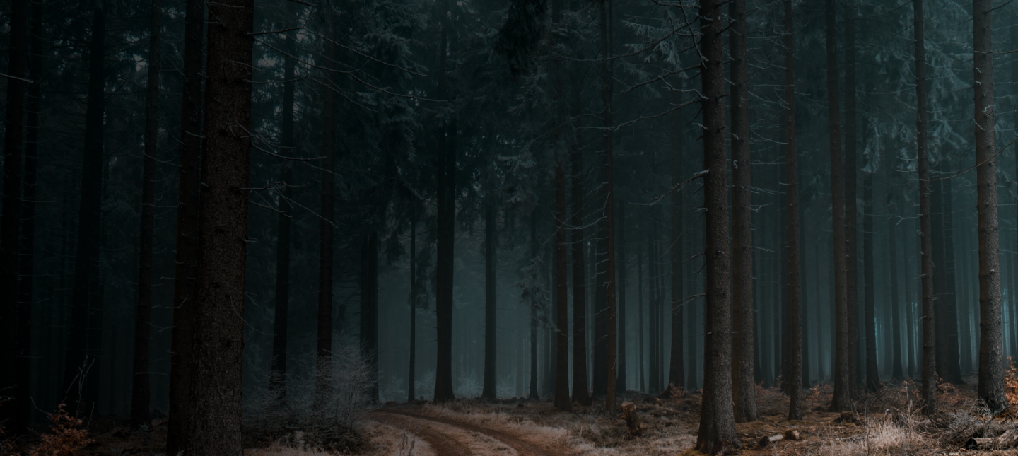 Fruit Tree Pruning Specialists Fruit Tree Pruning